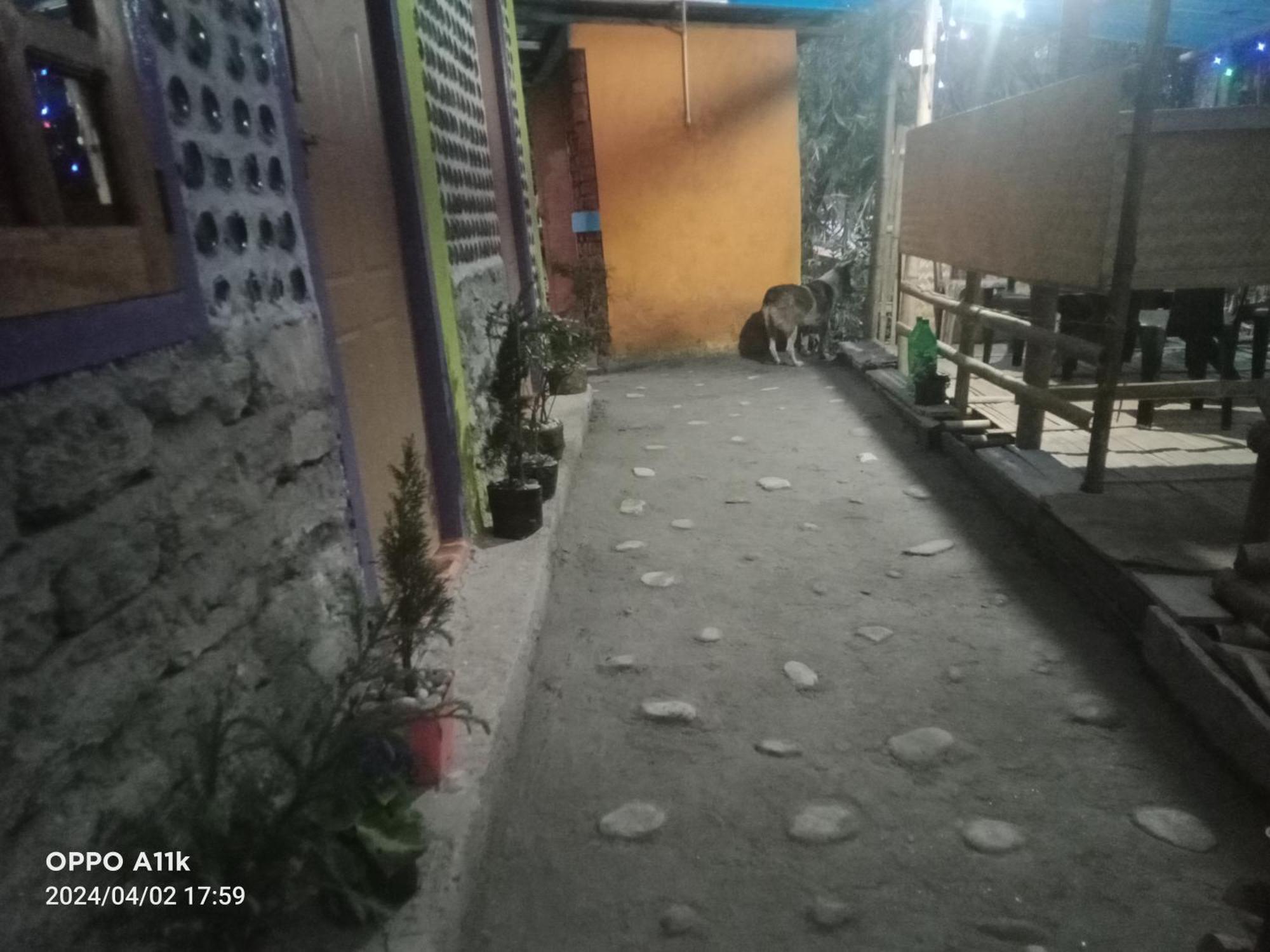 Dsd Bomzon Homestay Dardżyling Zewnętrze zdjęcie